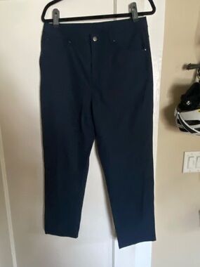 CRZ YOGA Ink Blue Casual Pants